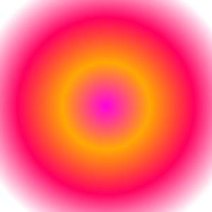 Meet your Posher, Isabella